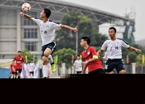 王哲林砍下赛季新高（王哲林刷新本赛季个人新高）